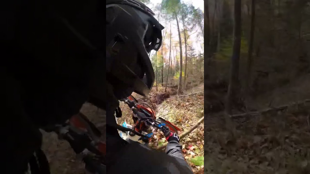 Highlights of the race 