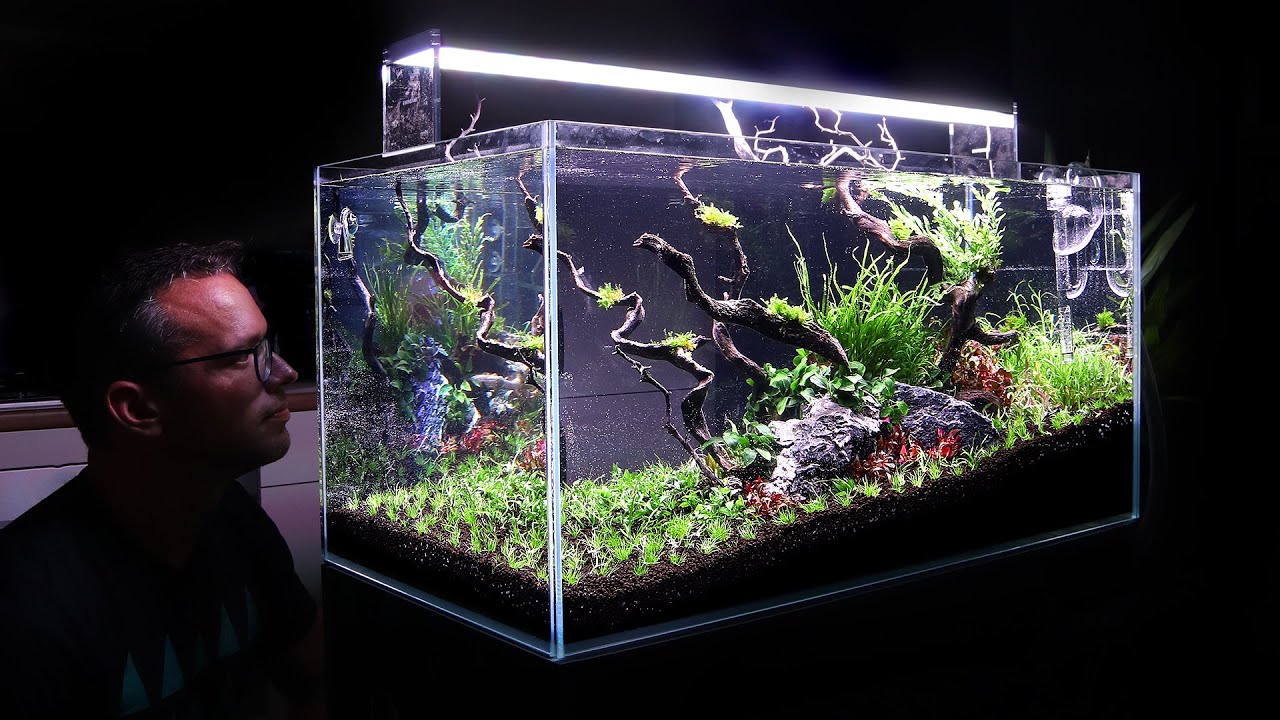 Aquascaper 900 - His First Ever Aquarium - Full Step by Step
