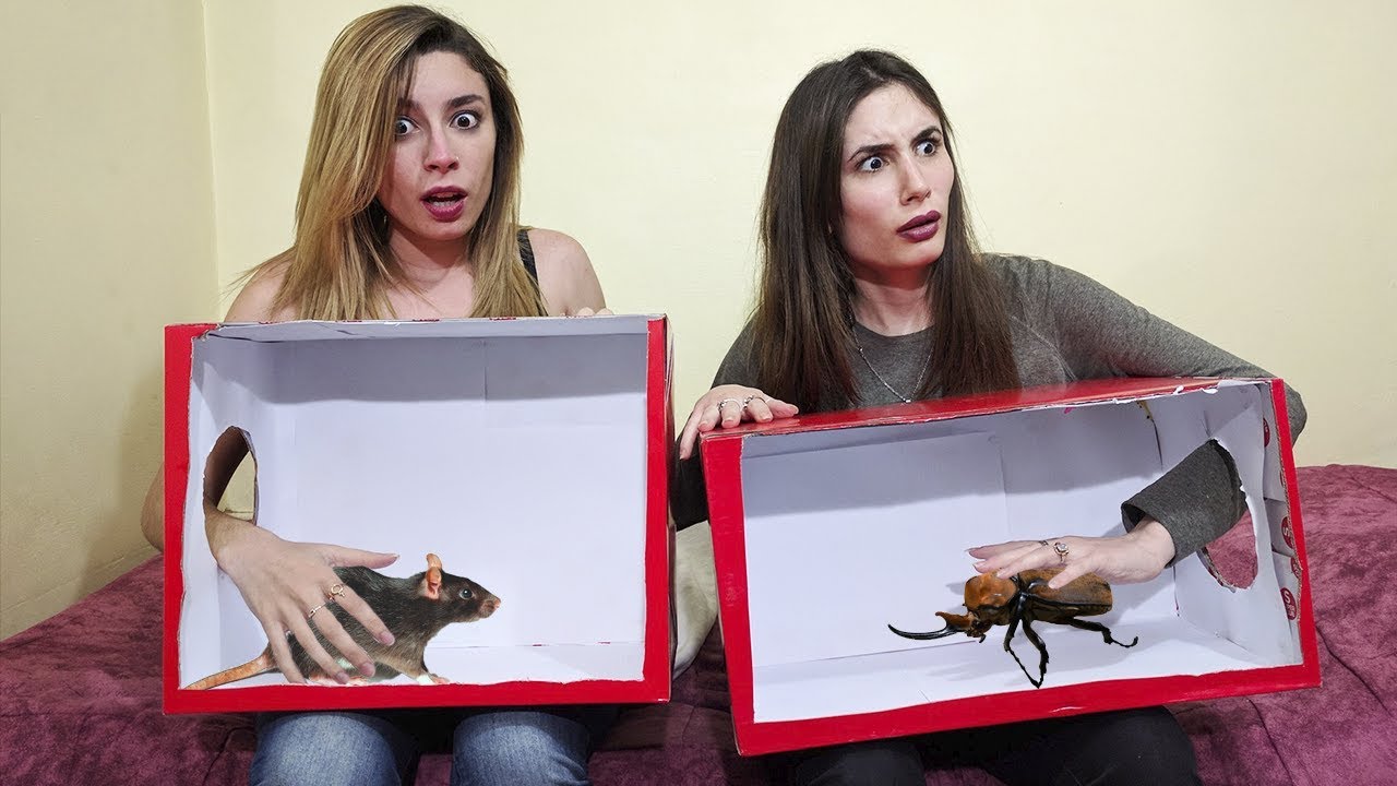 ¿QUÉ HAY EN LA CAJA? | Lyna Vlogs ft. Melina Vallejos