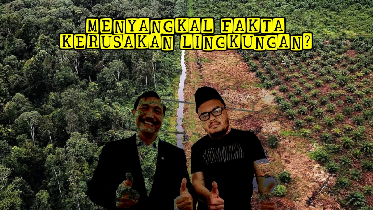 Eps 633 | MENDEBAT PA LUHUT BINSAR PANJAITAN SOAL SAWIT DAN KERUSAKAN HUTAN