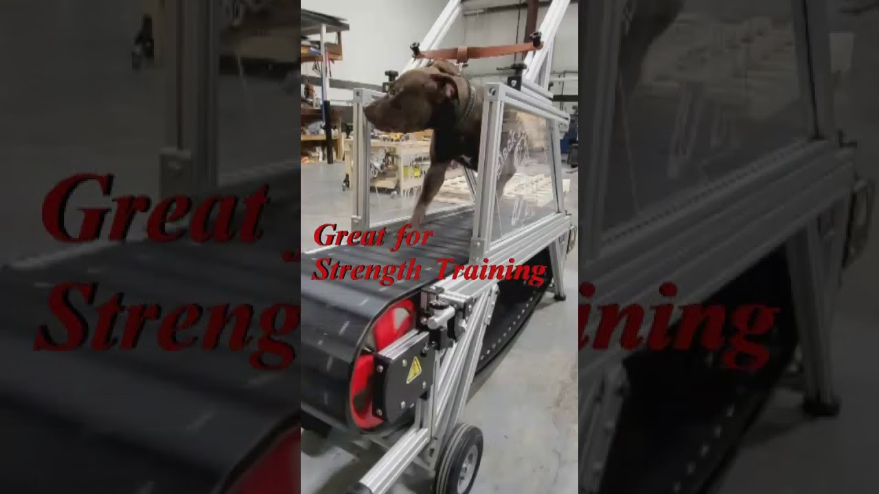 Dog Trotter K9 Treadmills