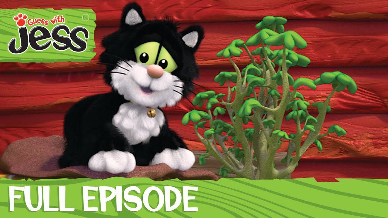Guess With Jess - What’s happened to my Little Tree?
