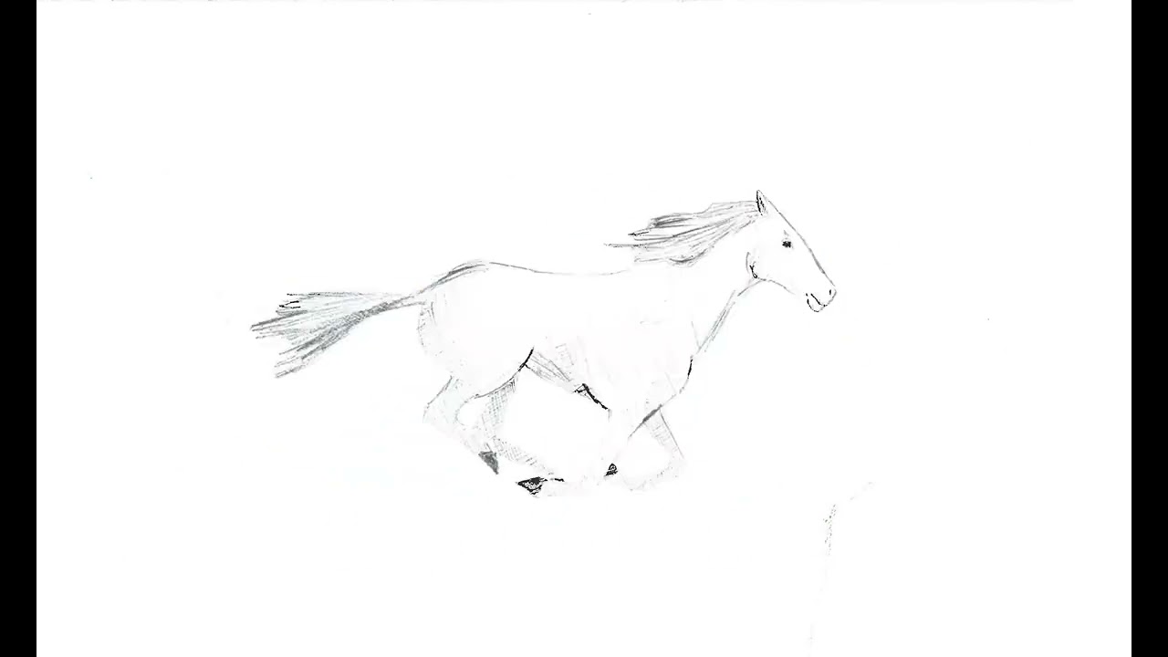 my horse in motion