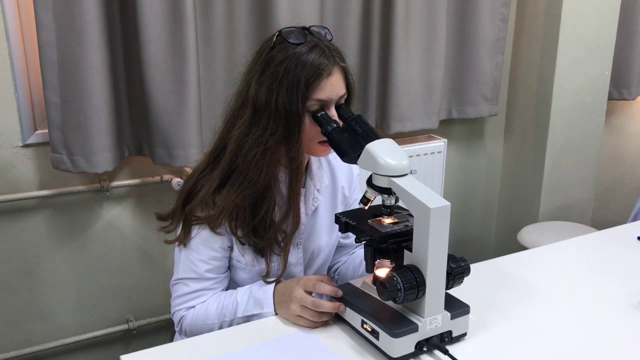 İzmir Fen Lisesi