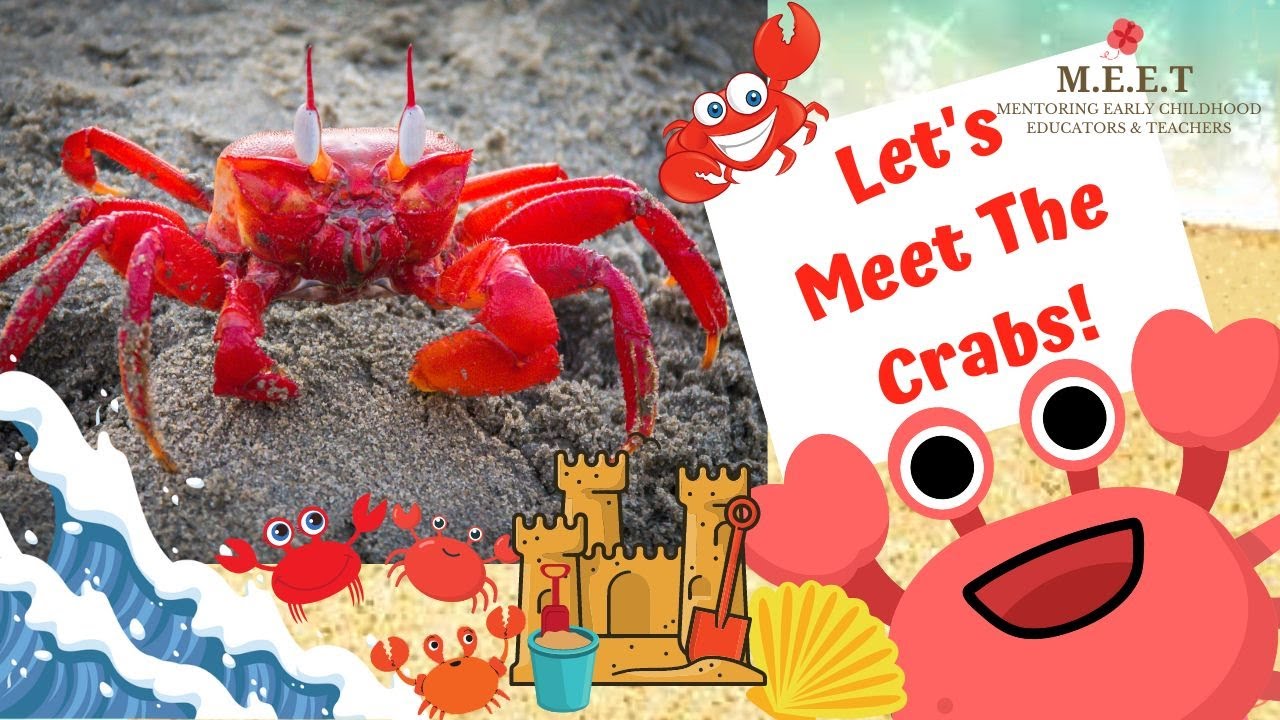 Let's Learn About Crabs! | preschool learning videos 4 kids (types of crabs) (crab walk)