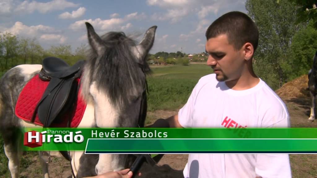 2015 05 09 A csantav&eacute;ri Dasa Pajta lovai is rajthoz &aacute;llnak