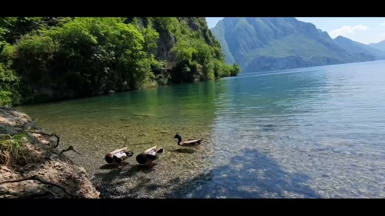 Lago d'Iseo - Baia del Bogn