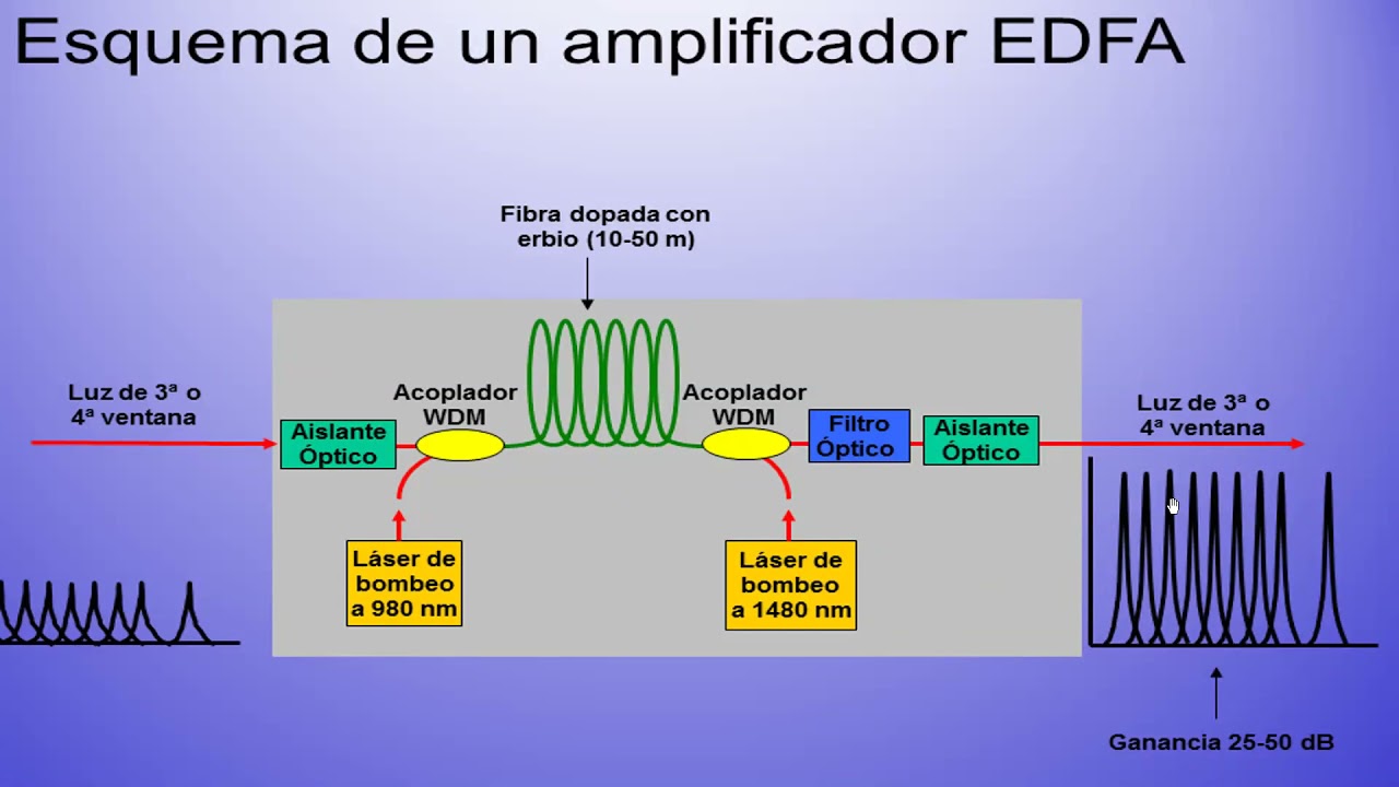 WDM (CWDM y DWDM)