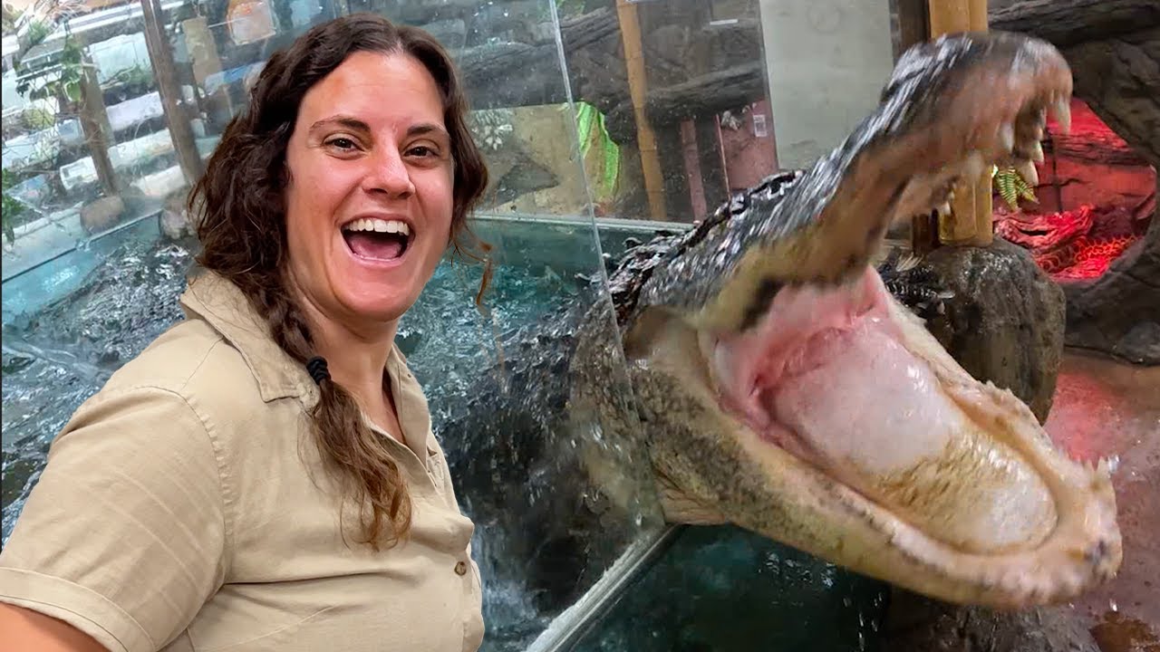 Wild After Hours Zoo Feeding! 😱