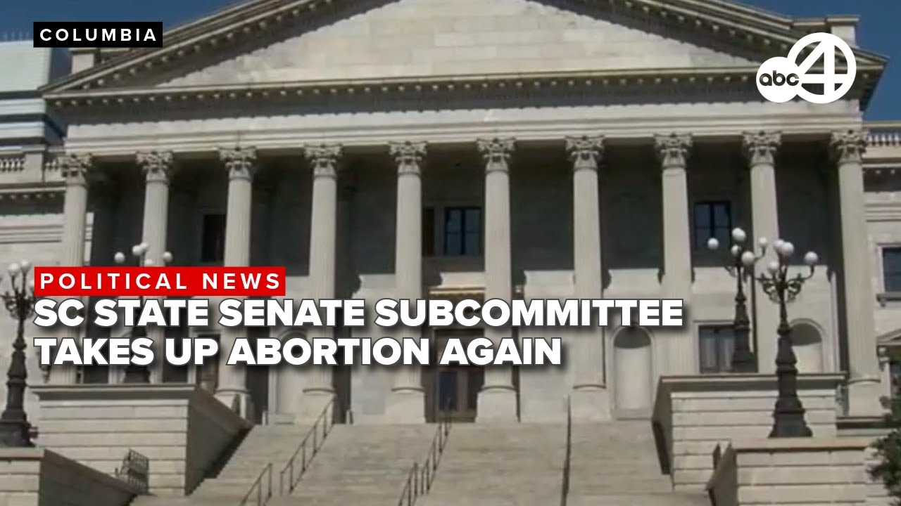 LIVE: SC Senate Subcommittee holds another hearing on more restrictive abortion measures