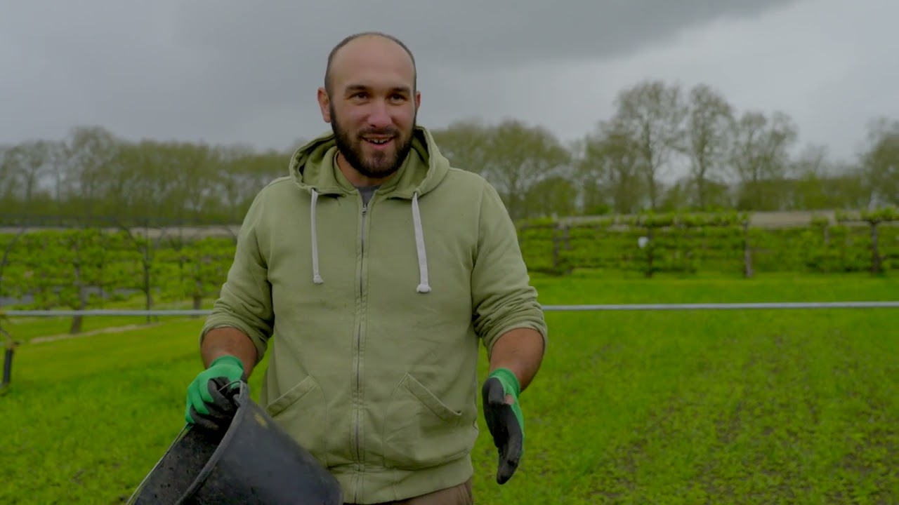 Évaluation visuelle des sols | Les tutos du Potager du Roi