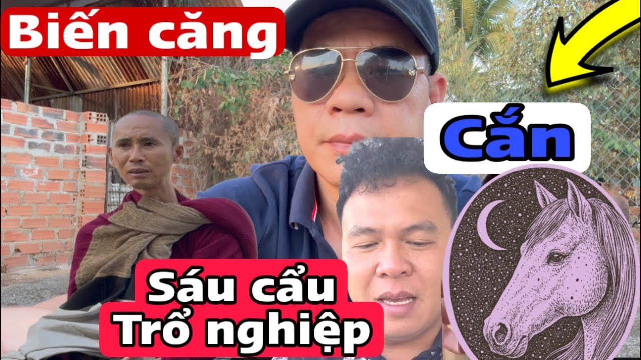 Tới công chuyện hoàng 6 hôm nay 