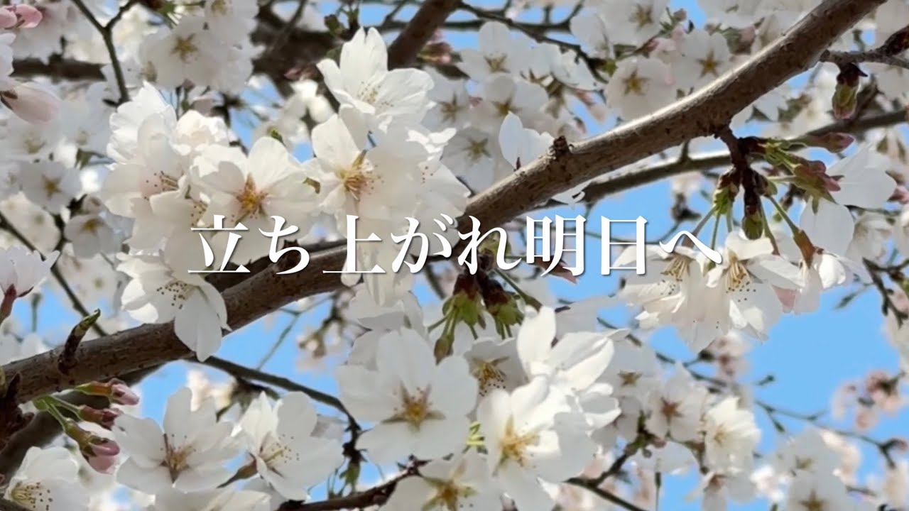 立ち上がれ明日へ