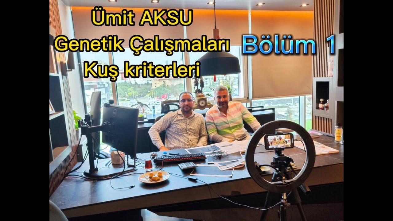 Ümit AKSU ile oyun kuşuna dair genetik çalışmalar ve kuş kriterleri hakkında söyleşi - Bölüm 1