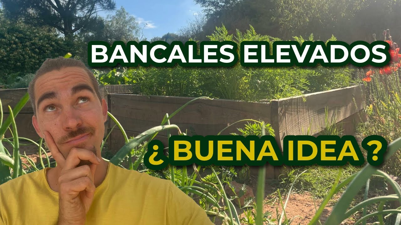 Cómo Hacer Bancales Elevados: Consejos Prácticos y Errores que Evitar 🌱