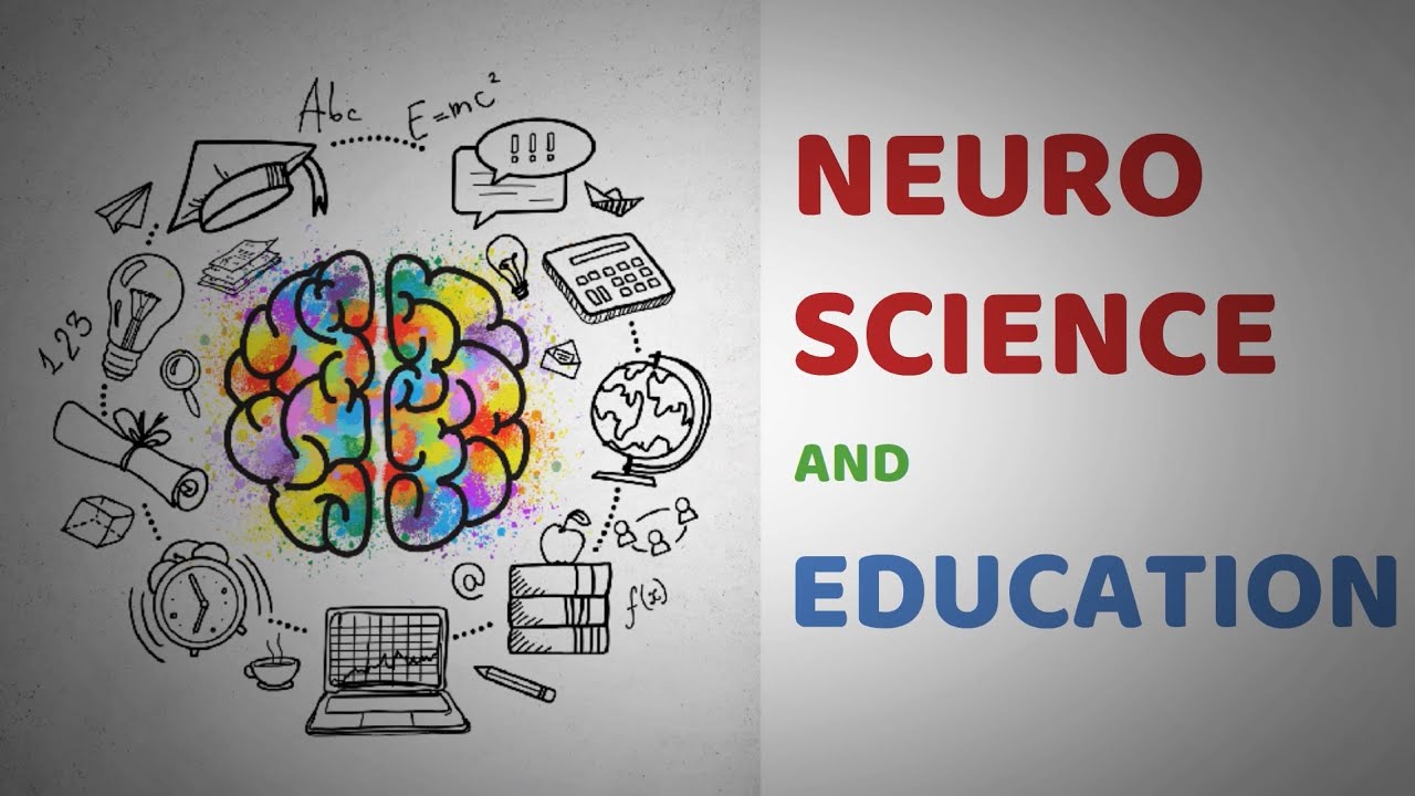 Neuroscience and Education | Neuromyths and Pseudoscience in Education