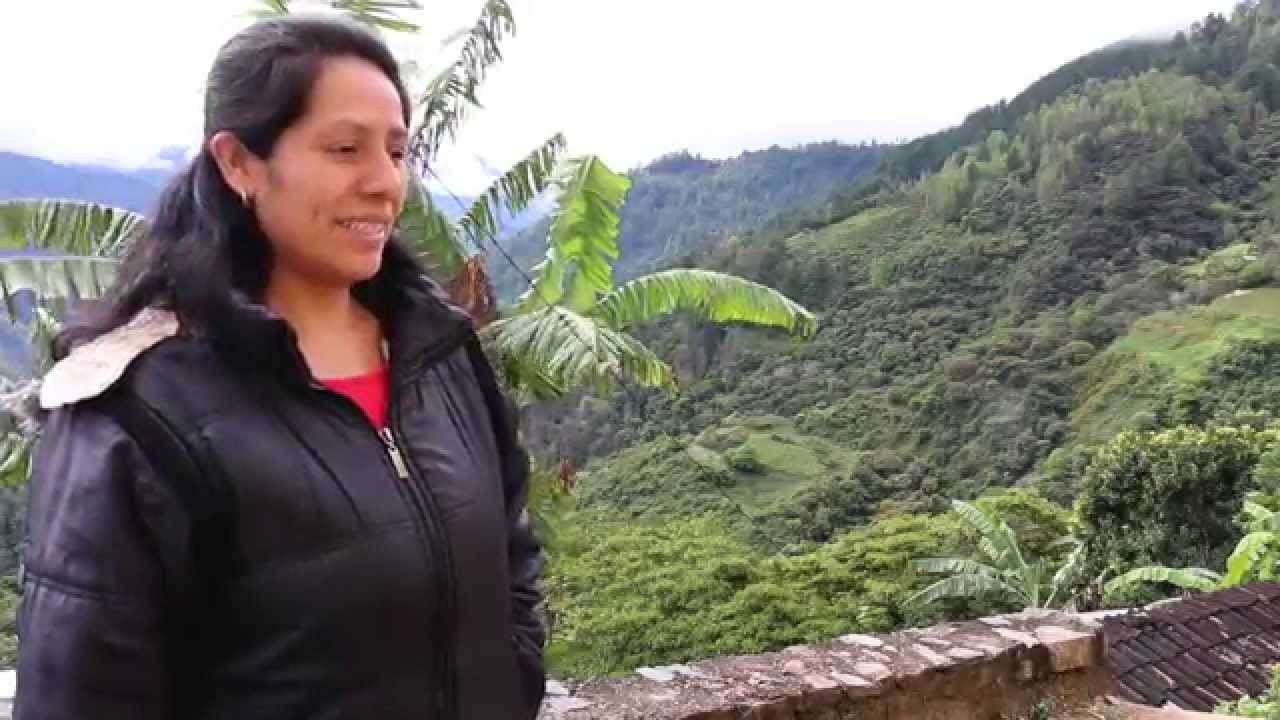 Buenas pr&aacute;cticas en el bosque mes&oacute;filo de Oaxaca