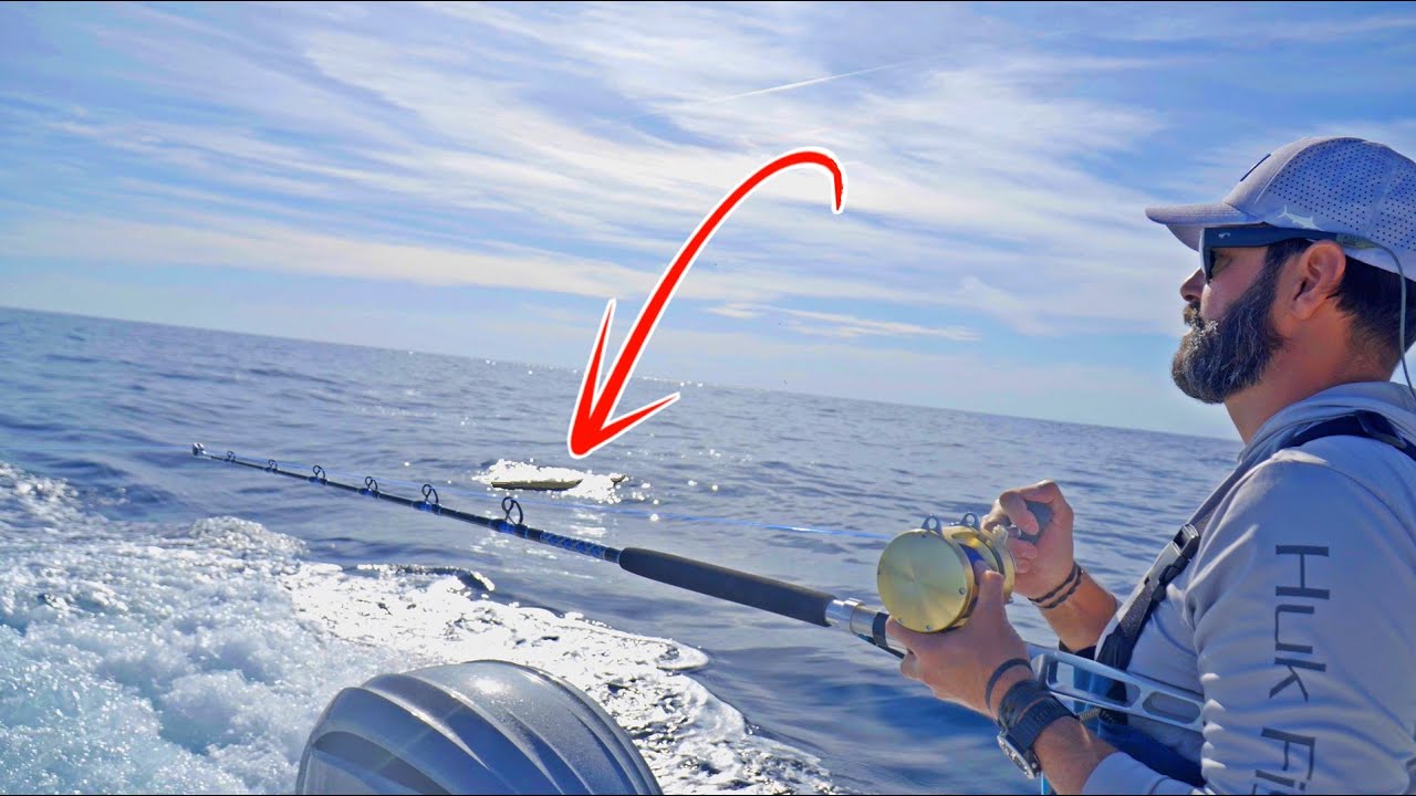 We found fish under a floating log 90 miles offshore!