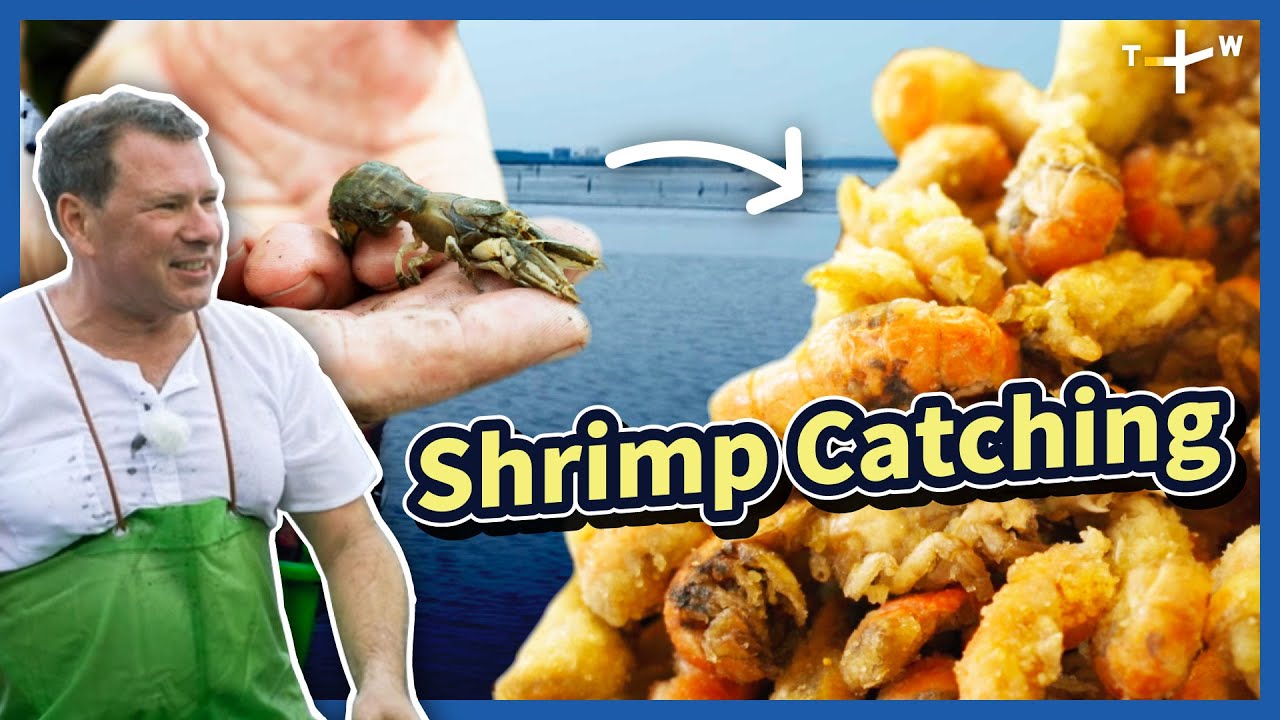 Catching Mud Shrimps on the Sandy Shore of Taiwan｜EP. 40｜Happy Fisherman