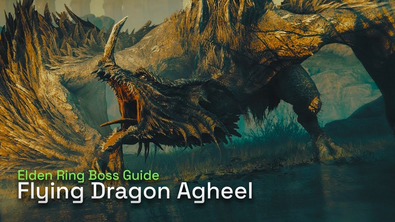 I Have No Idea What I'm Doing | Elden Ring Flying Dragon Agheel