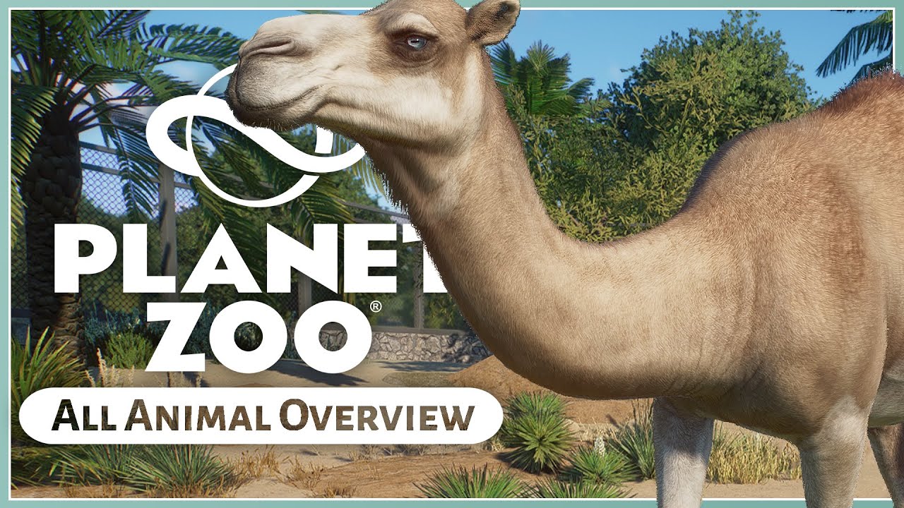 All New Animals! | Planet Zoo Arid Animal Pack