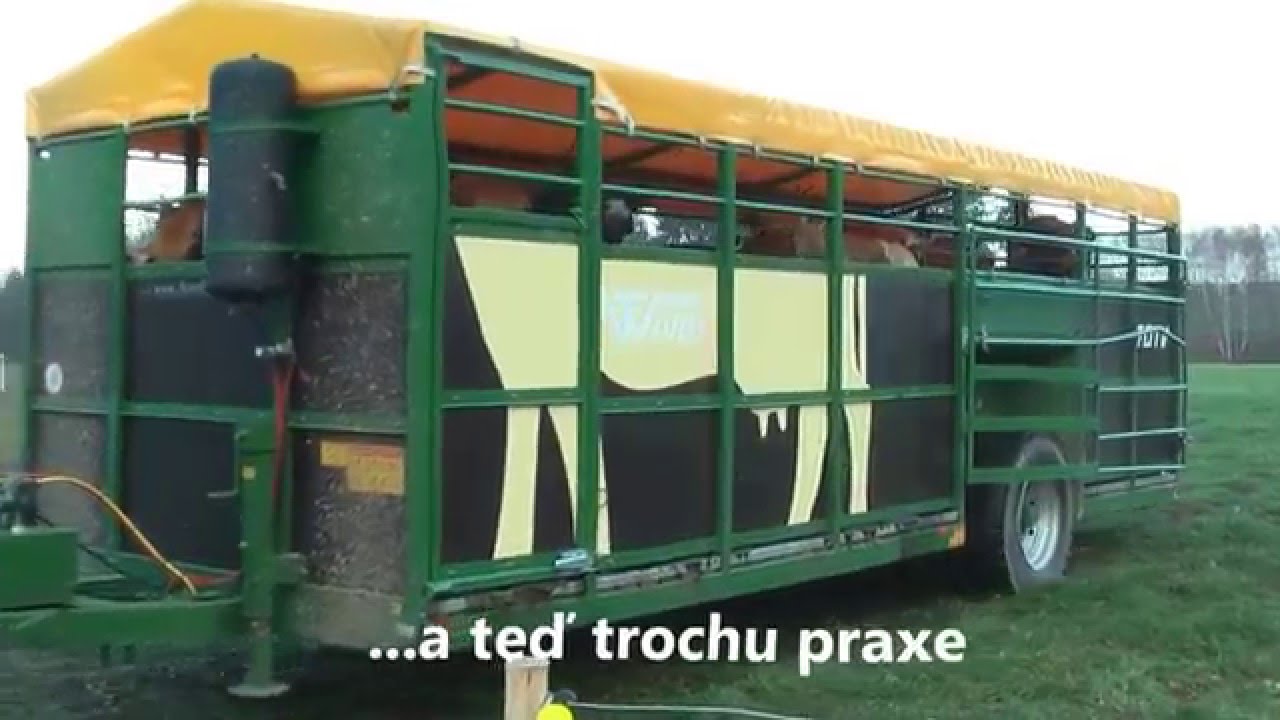 DTV instruktáž + akce