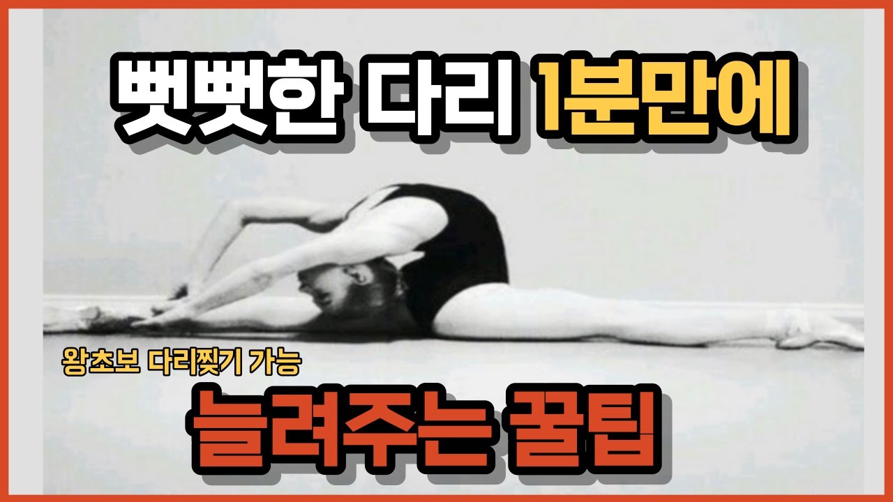 발레쌤이 알려주는 프론트 스플릿 쉽게 찢는법ㅣ누구나 일자다리찢기 성공ㅣ햄스트링 유연성, 골반교정