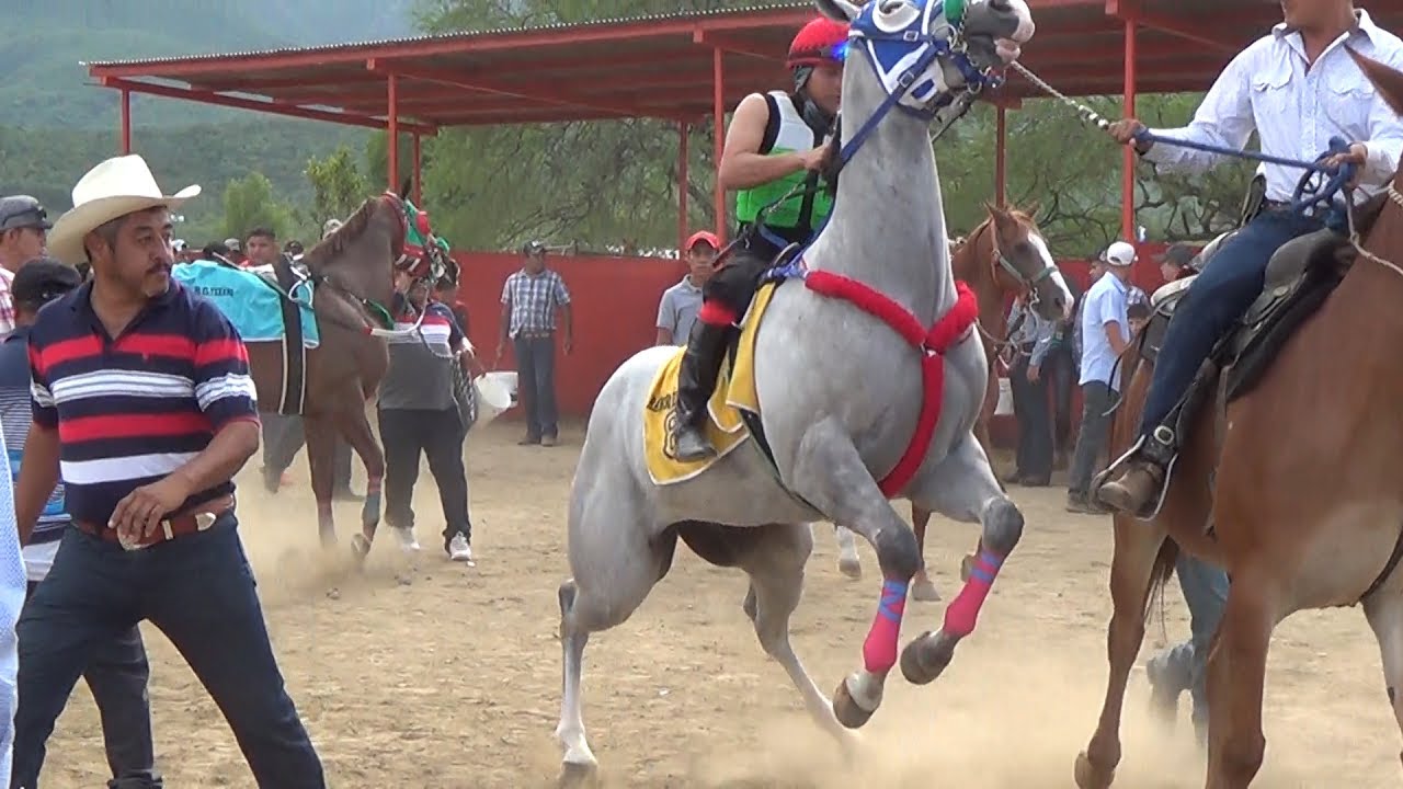CARRERAS DE CABALLOS**FINAL FUTURITY** LA LUMBRE**