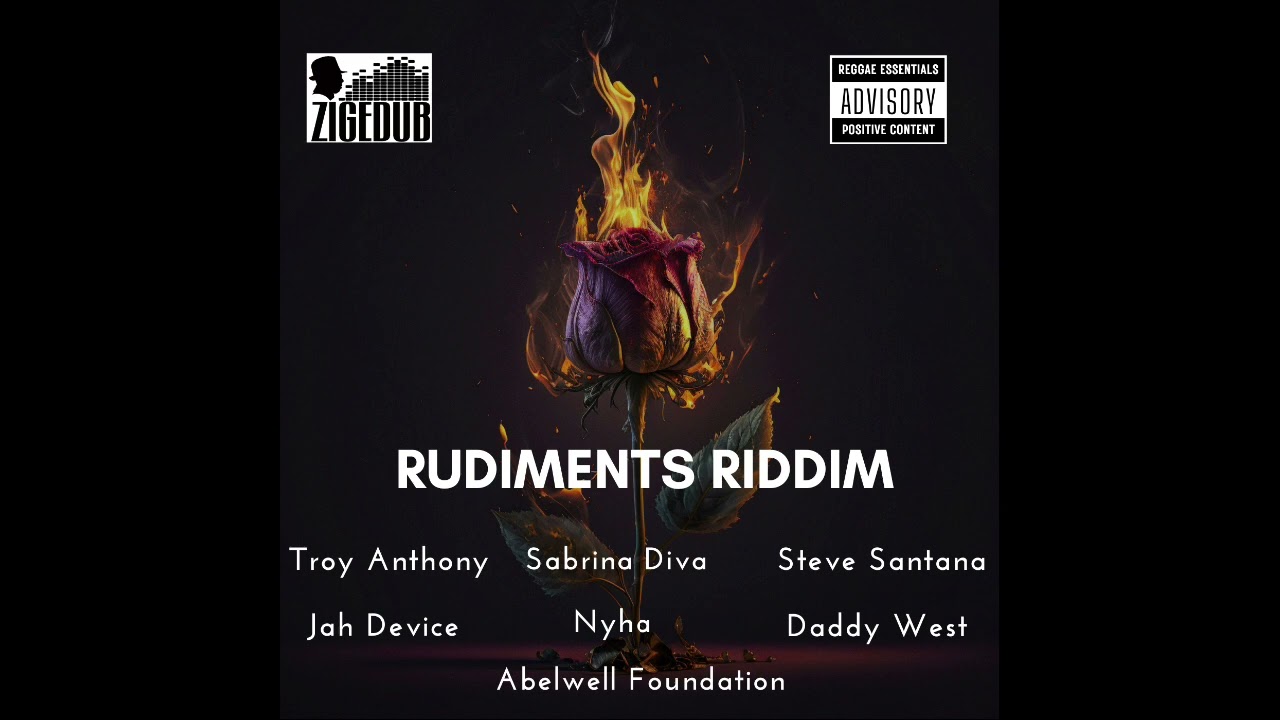 RUDIMENTS RIDDIM 2024 PROMO MIX ( ZIGEDUB PRODUCTIONS)