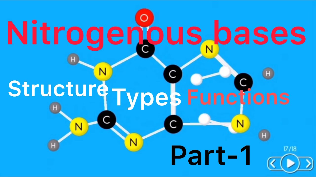 nitrogenous bases| purines and pyrimidines|part1|Easy-Teach