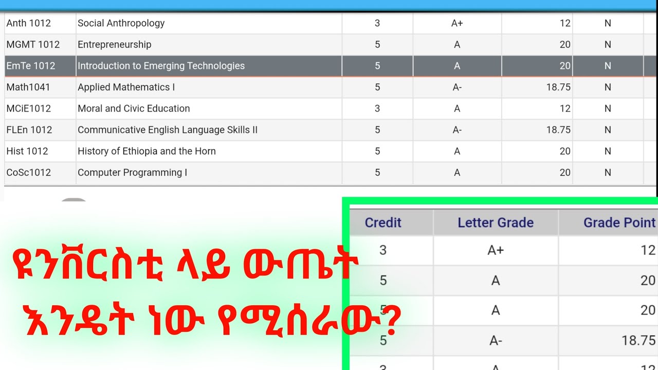 ዩንቨርስቲ ላይ ውጤት እንዴት ይሰራል| How to calculate grade in university