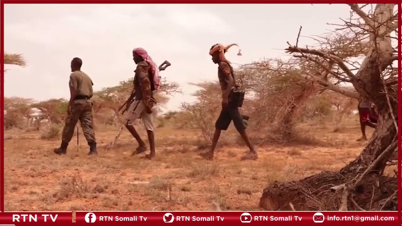 Faahfaahino dheraad ah ayaa kasoo baxayo dagaal xalay ka dhacay dagmada Luuq.