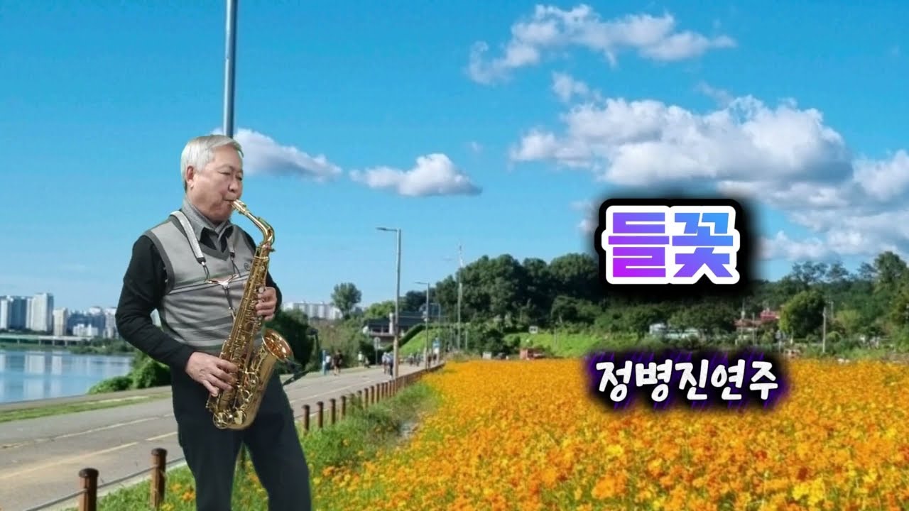 #들꽃 #주병선 #정병진