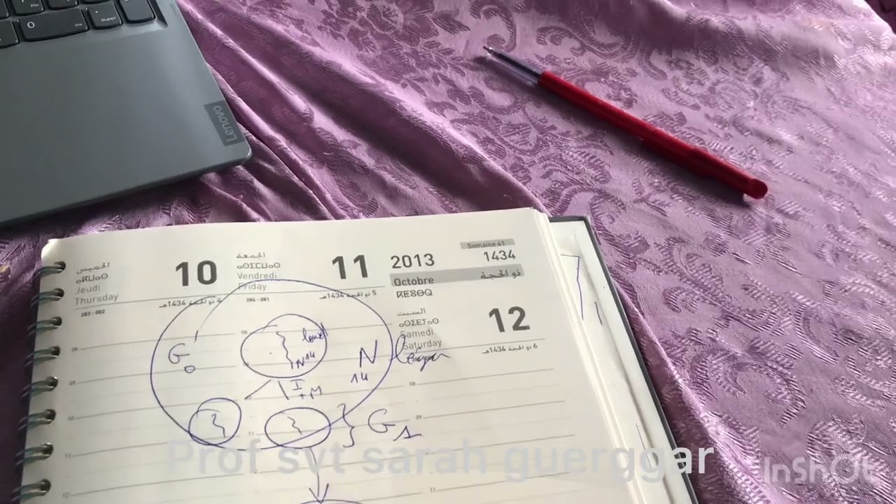 Explication expérience de MESELSON ET STAHL (replication d’ADN)