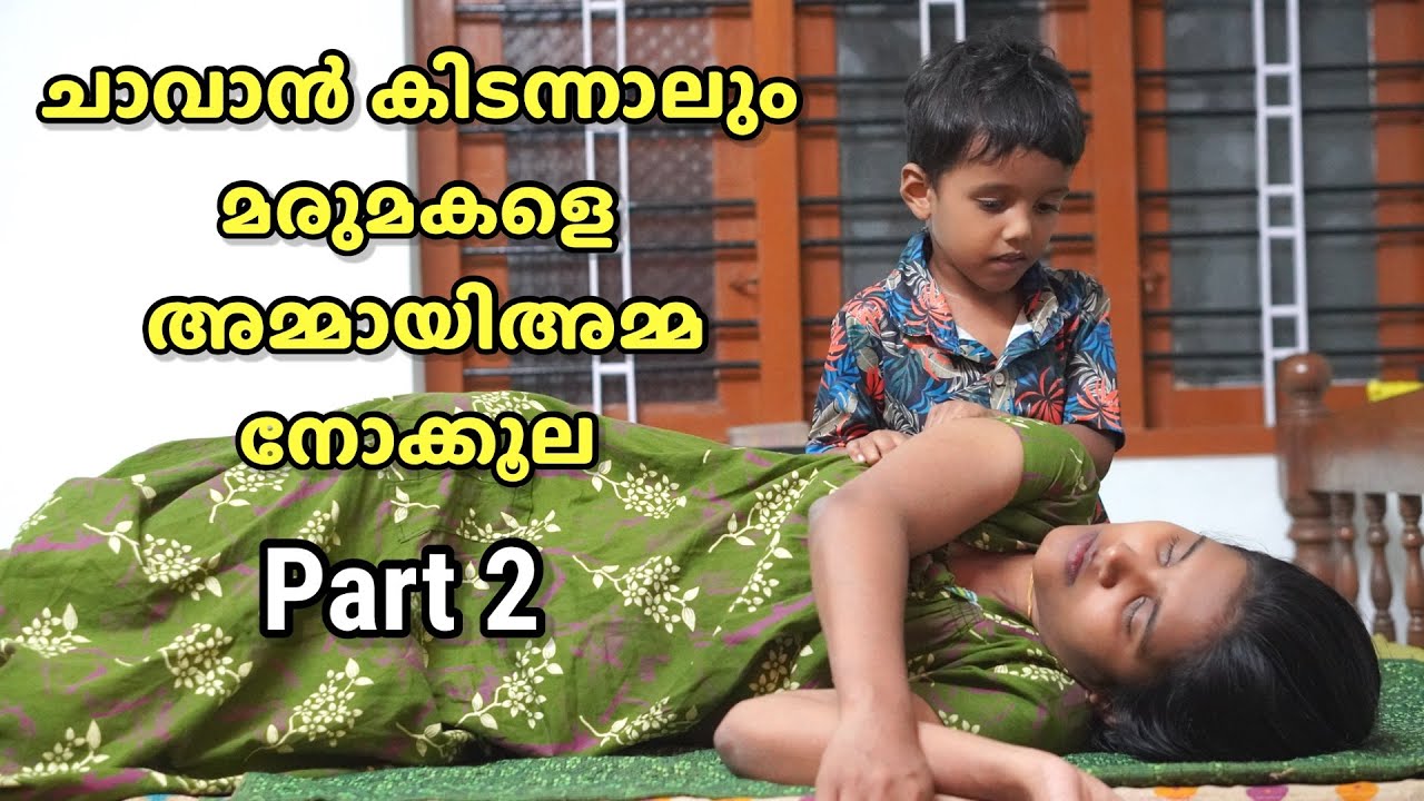 ചാവാൻ കിടന്നാലും മരുമകളെ അമ്മായിഅമ്മ നോക്കൂല 😔 | Family Issues 