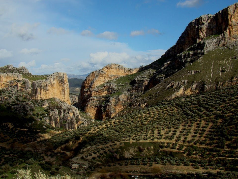 JAEN 