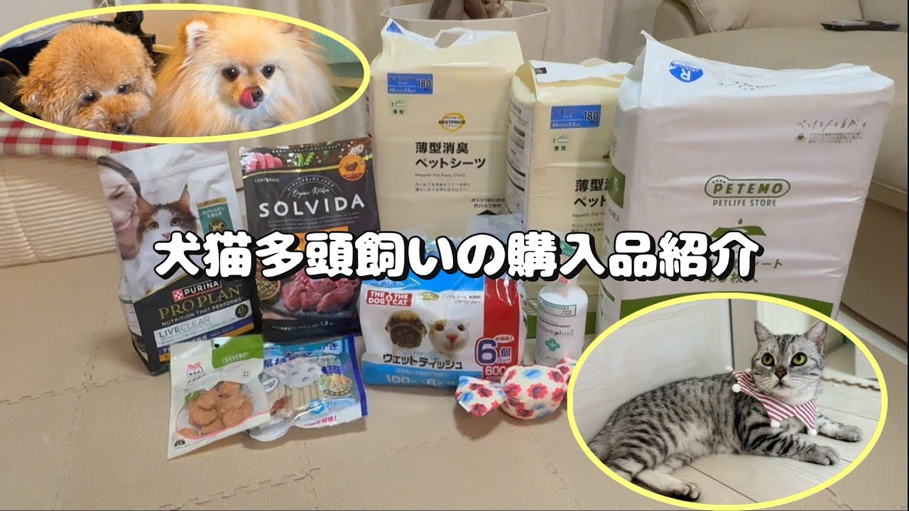 【犬猫】多頭買い飼い主のペット商品まとめ買い！！