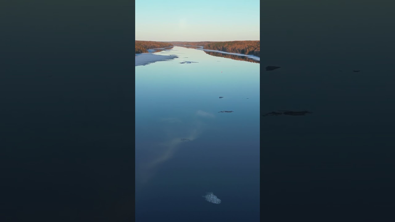 Река Свирь) Единственная вытекающая из Онежского озера #свирь #ленобласть #весна