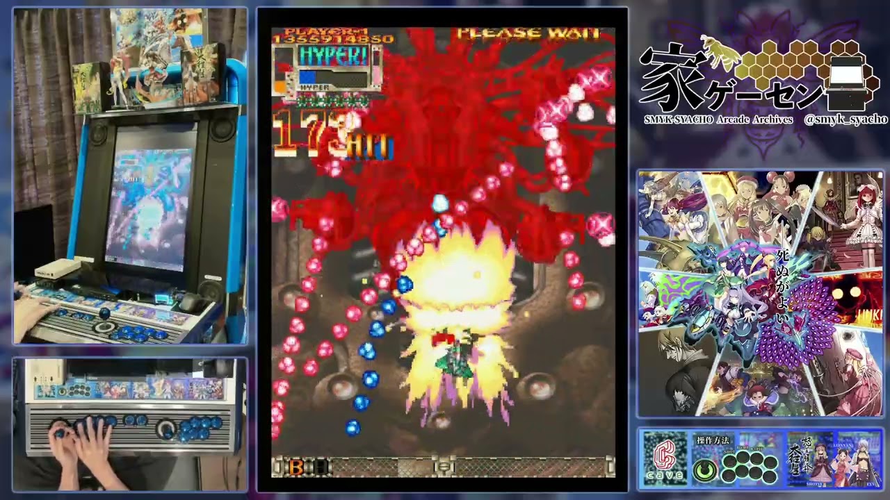 PS2版 怒首領蜂 大往生 デスレーベル B-EX 1周初ALL／緋蜂・改撃破 #stg #怒首領蜂大往生