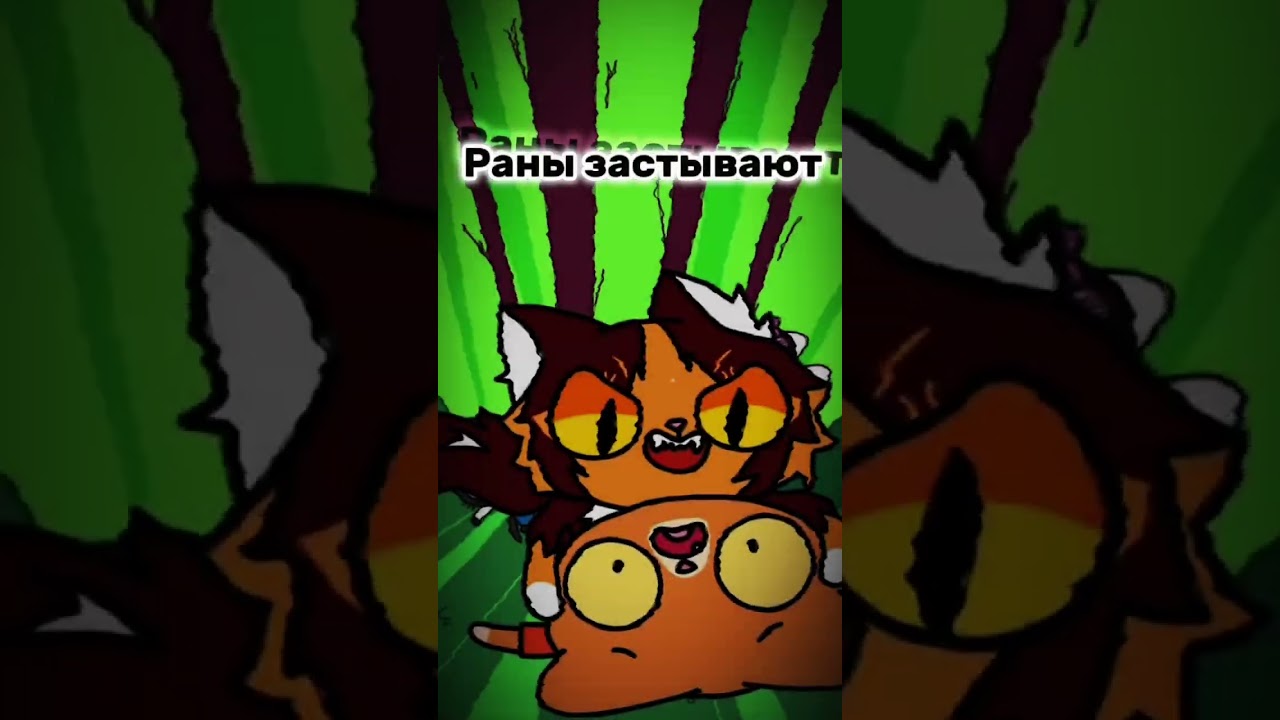 Удачной охоты тебе на небесах, симбочка #симба #СимбаУмер #легенда #симбочкапимпочка #2024💔