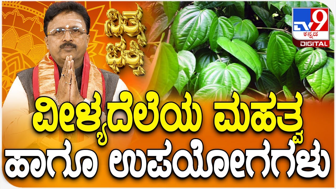 Daily Devotional | Dr. Basavaraj Guruji | ವೀಳ್ಯದೆಲೆಯ ಮಹತ್ವ ಹಾಗೂ ಅದರ ಉಪಯೋಗಗಳು | #TV9D