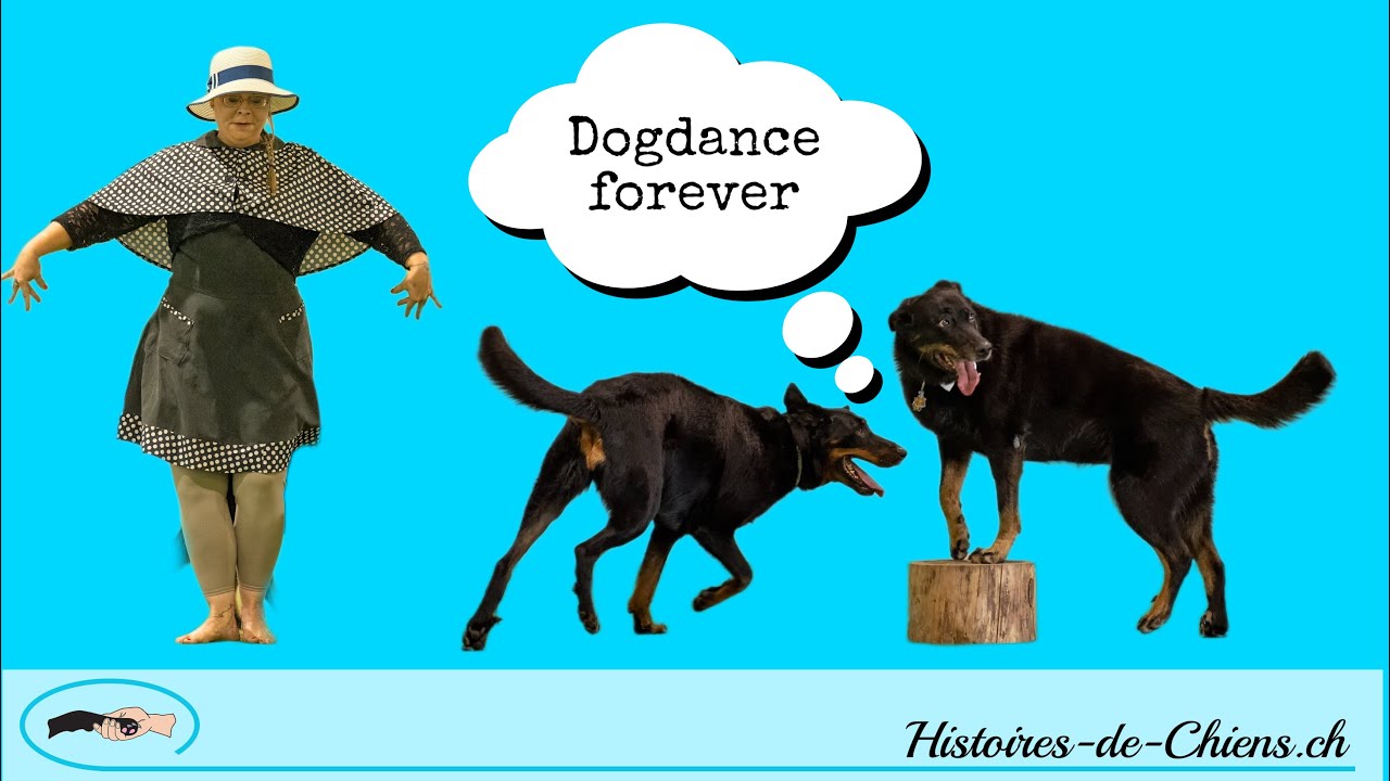Championnes suisses 2022 dog dance (Trio)