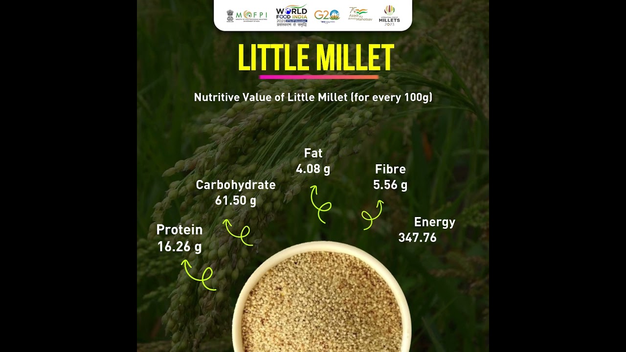 Little #Millets' complex carbohydrates, phenolic compounds and antioxidant content | #iym2023