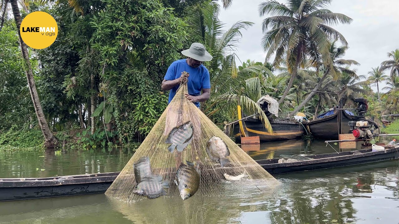വട്ടക്കായലിലെ കരിമീൻ വേട്ട 🔥 Kuttanadan Village Fishing I Karimeen Fishing I Lakeman Vlogs #fishing