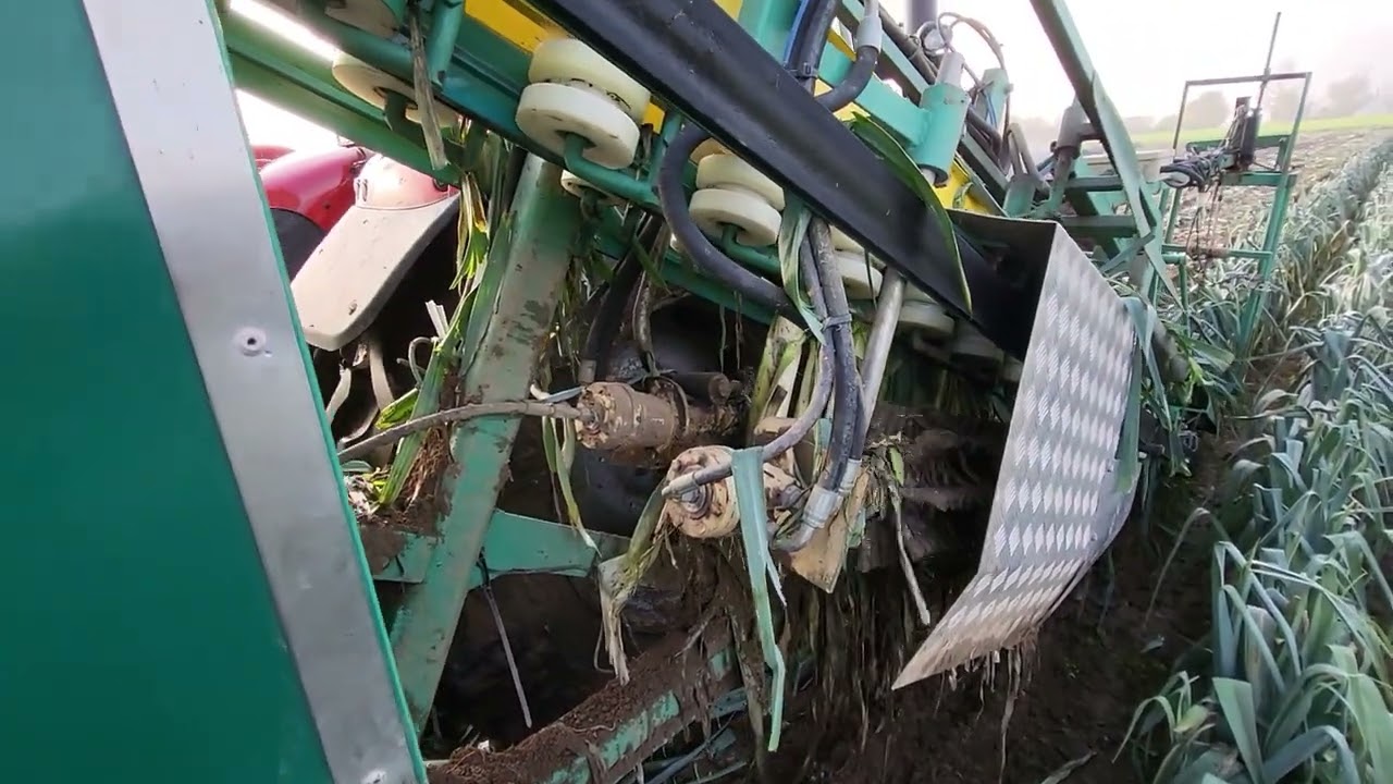 Baekelandt Industrial leek harvester