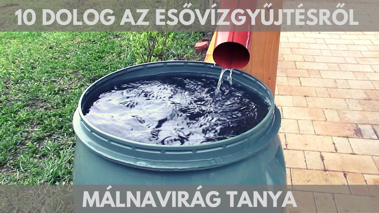10 dolog, amit az esővízgyűjtésről tudnod kell