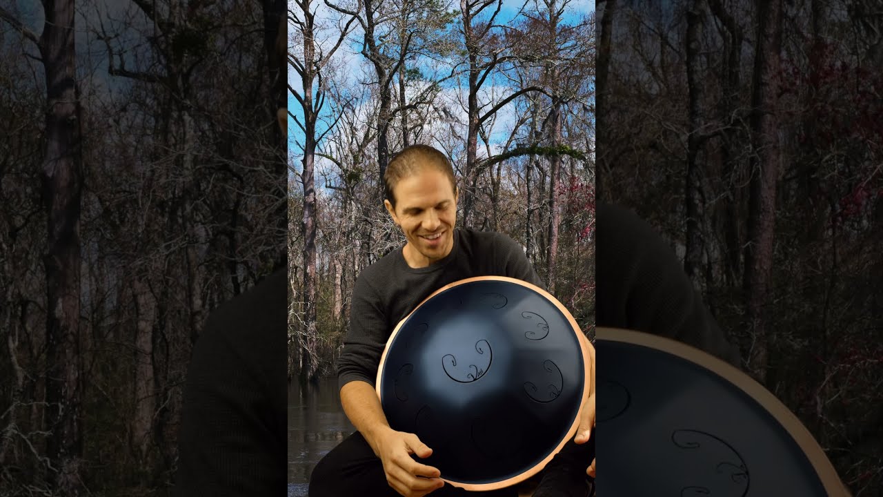 Rav Vast A Integral Scale Review
