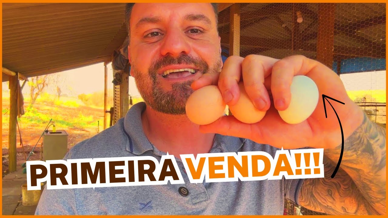 Como Come&ccedil;ar a Vender Ovos Caipira Sem Medo &ndash; Minha Primeira Venda!