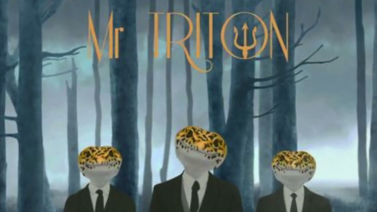 MrTriton PLANITUDE