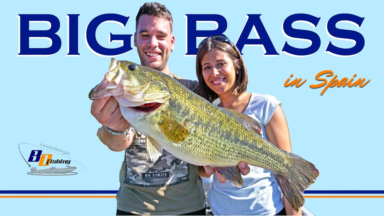 BASS FISHING in SPAIN ✨¡𝐓𝐎𝐏!✨ with BO Fishing Guide